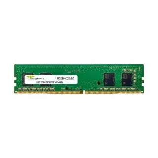 Bigboy B32D4C22/8G 8 GB (1x8 GB) DDR4 3200 MT/s CL22 DIMM Yeşil RAM