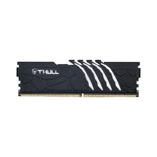 Thull Vortex 16 GB (1x16 GB) DDR4 3200 MT/s CL16 DIMM RAM