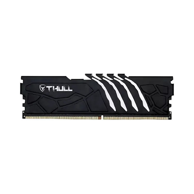 Thull Vortex 16 GB (1x16 GB) DDR5 5600 MT/s CL46 DIMM RAM