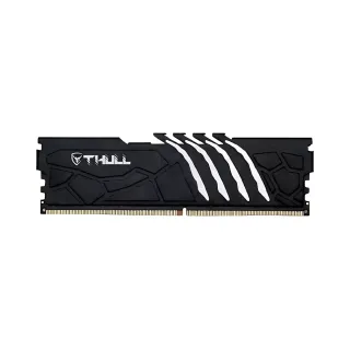 Thull Vortex 16 GB (1x16 GB) DDR5 5600 MT/s CL46 DIMM RAM