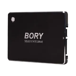 Bory R500 1 TB 2.5 İnç SATA 3 SSD