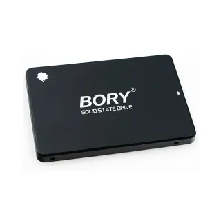 Bory R500 512 GB 2.5 İnç SATA 3 SSD