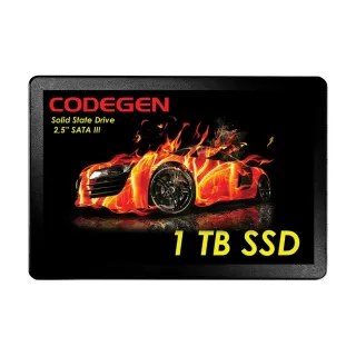 Codegen CDG--SSD25 1 TB 2.5 İnç SATA 3 SSD