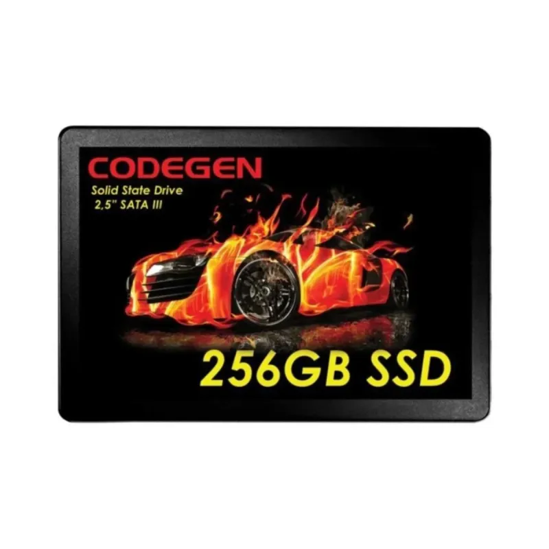 Codegen CDG--SSD25 256 GB 2.5 İnç SATA 3 SSD