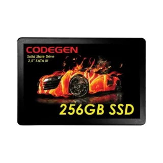Codegen CDG--SSD25 256 GB 2.5 İnç SATA 3 SSD