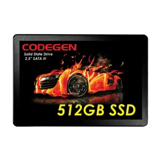Codegen CDG--SSD25 512 GB 2.5 İnç SATA 3 SSD
