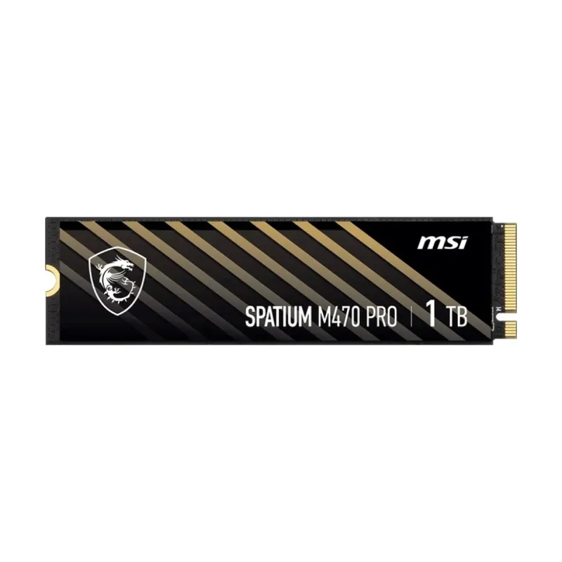 MSI M470 Pro 1 TB M.2 2280 PCIe 4.0 x4 NVMe 6000 MB/s Soğutucusuz SSD
