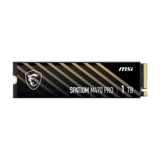 MSI M470 Pro 1 TB M.2 2280 PCIe 4.0 x4 NVMe 6000 MB/s Soğutucusuz SSD