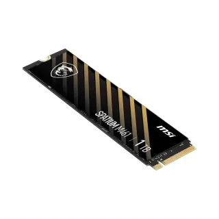MSI Spatium M461 1 TB M.2 2280 PCIe 4.0 x4 NVMe 5000 MB/s SSD