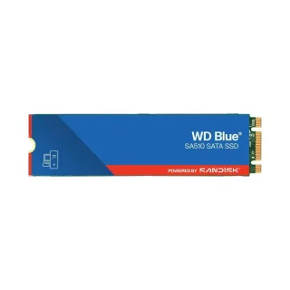 WD Blue SA510 SATA 1 TB M.2 2280 SATA III 560 MB/s SSD