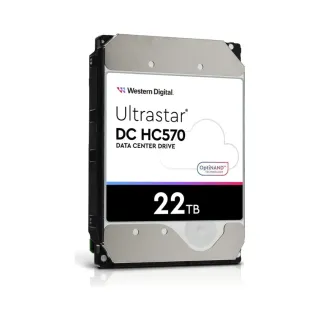WD Ultrastar DC HC570 22 TB 3.5 İnç SATA 3 7200 RPM HDD